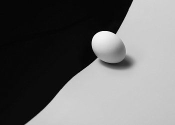 Dualita