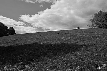 Horizont věčnosti