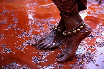 Happy Holi ! (2)