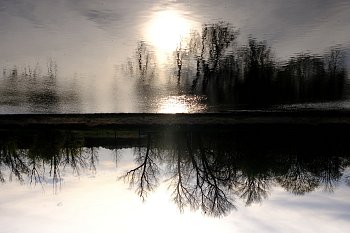Zrcadlení