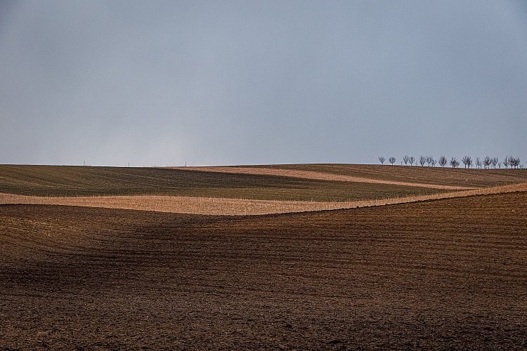 Podzimní minimalismus
