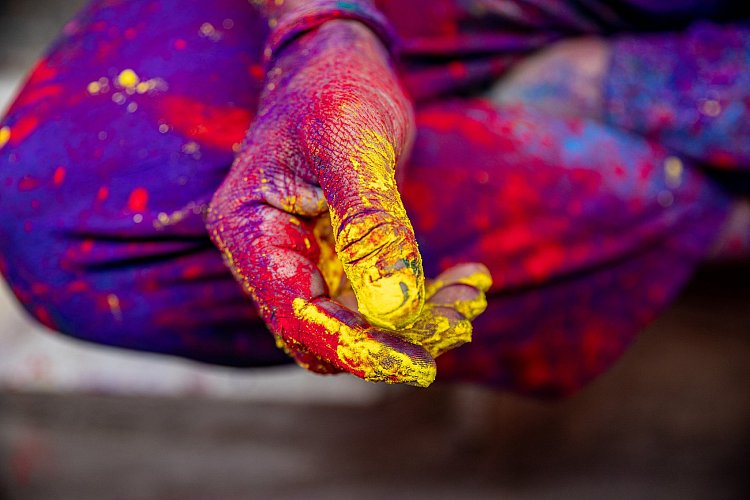 Holi zátiší