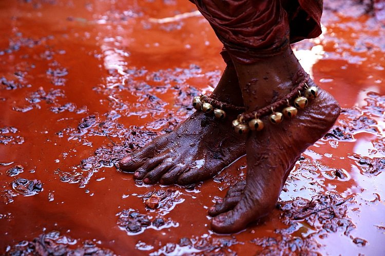 Happy Holi ! (2)