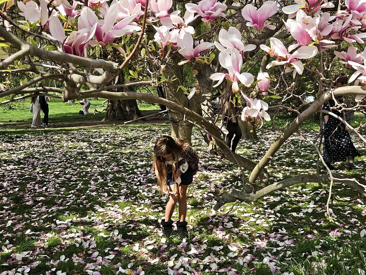 Ztracená v magnoliích