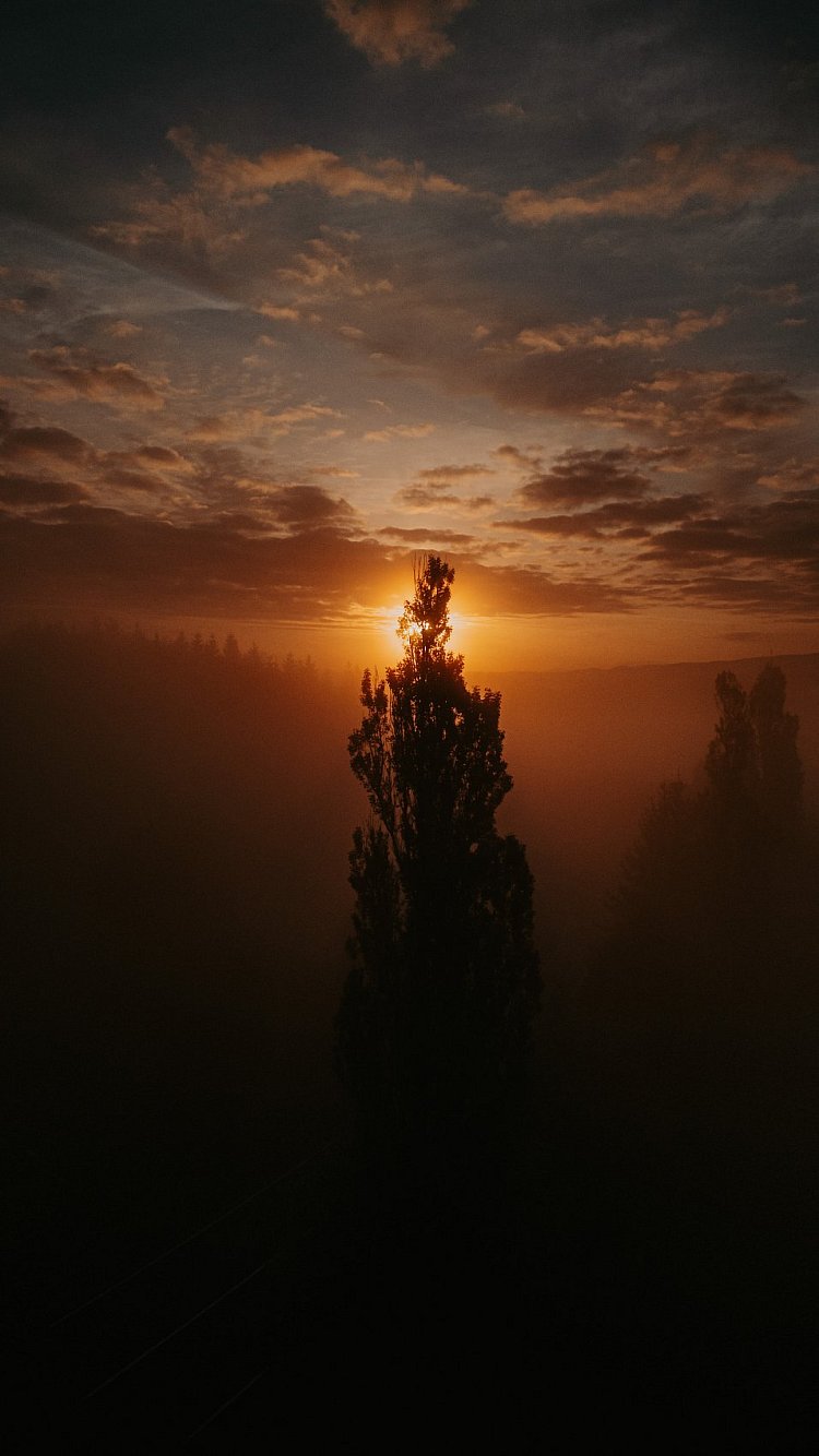 Oko Sauronovo :)