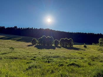 Kvilda