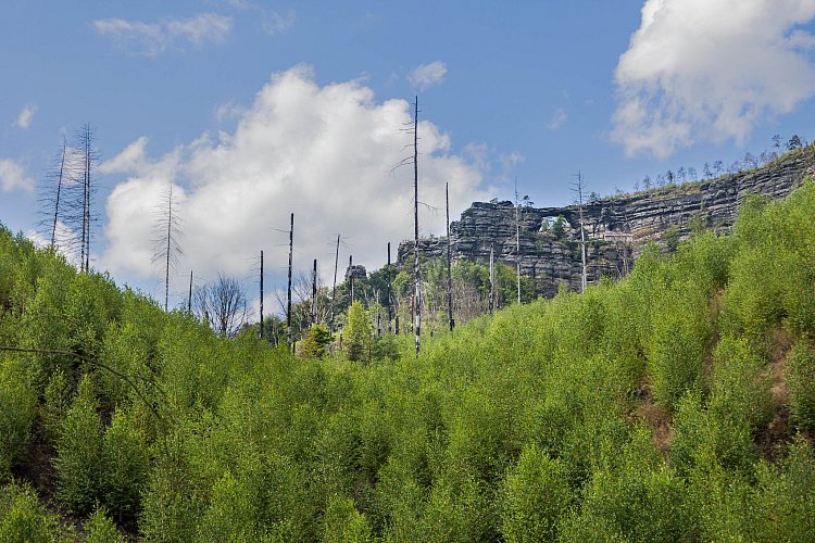 Krajina Českého Švýcarska
