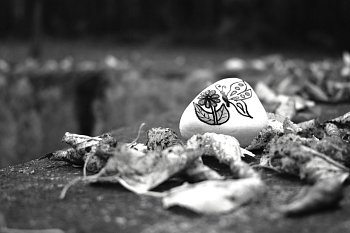 Našla jsem kamínek.