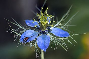 Krátká návštěva