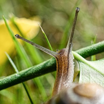 Vidím na všechny strany
