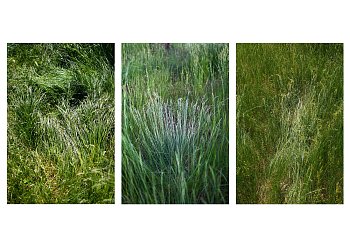 Zásah člověka do krajiny- triptych