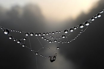 Podzimní korálkování