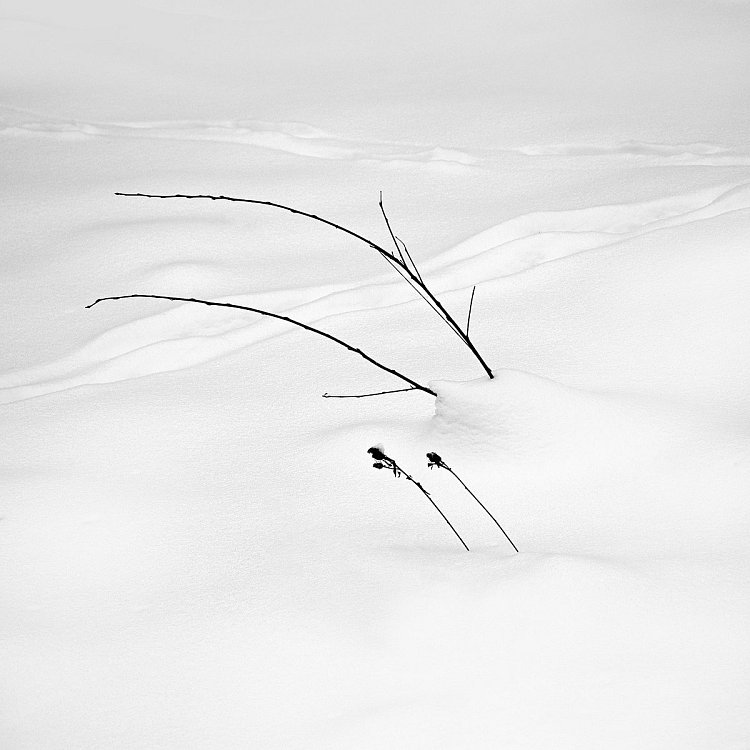 Kaligrafie na sněhu