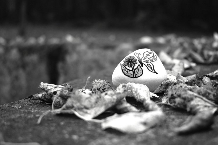 Našla jsem kamínek.