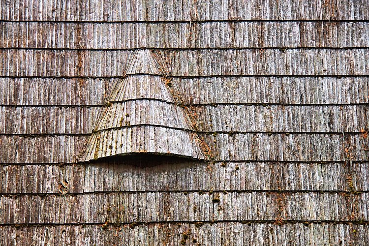 Pod jednou střechou.