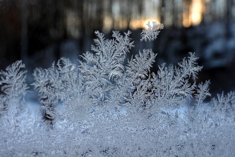 Hvězdičko blýskavá