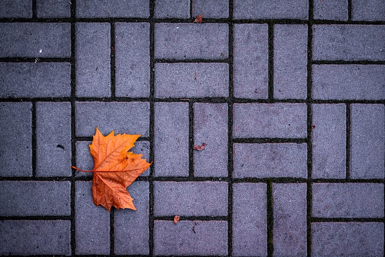 I letos přišel listopad