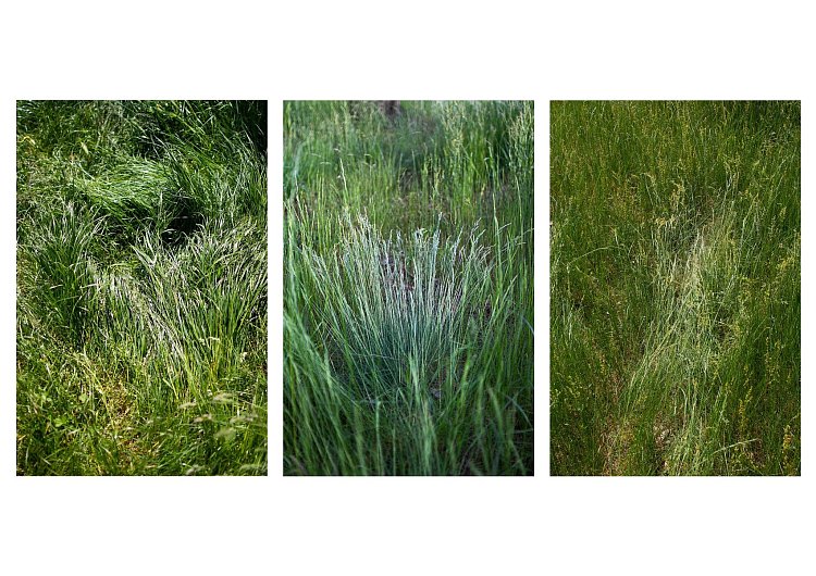 Zásah člověka do krajiny- triptych