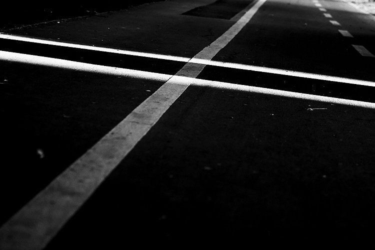 Ráno na cyklostezce