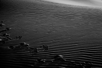 Marocká poušť II.