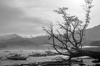 Při odlivu za rozbřesku