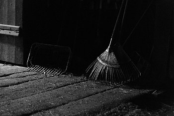 Večerní úklid na jízdárně