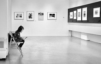 Co na to Dagmar Hochová?