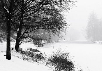 Zimní mlhavé ráno u Sázavy.