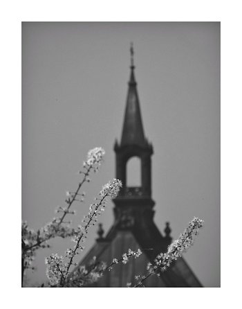 Jarní Plzeň