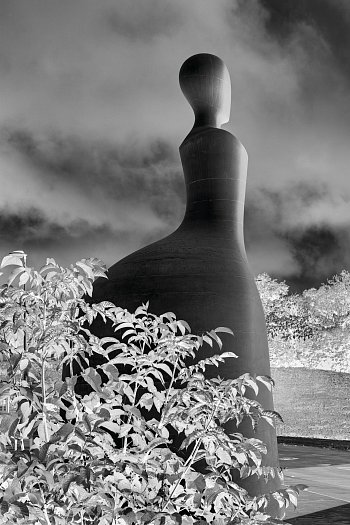 Česká královna Marie Terezie,