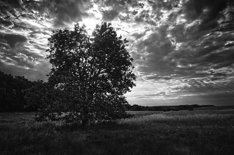 Přítomný okamžik