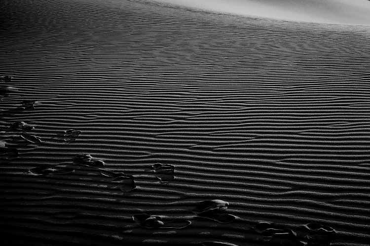 Marocká poušť II.