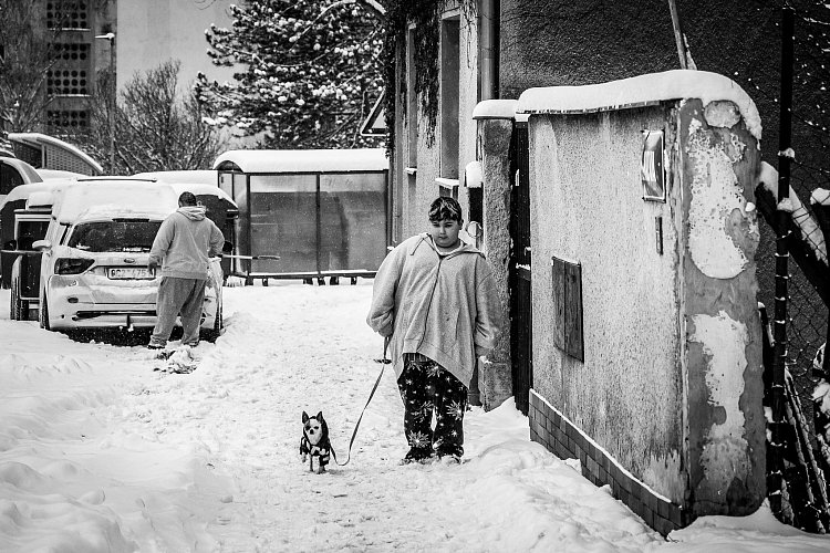 Velký kluk a malý pes