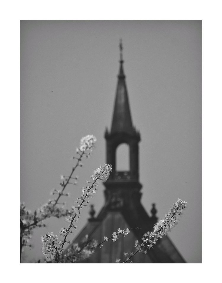 Jarní Plzeň