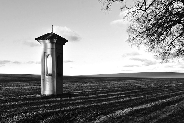 V podvečerním slunci.