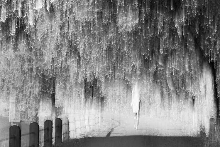 Ze stínu do světla