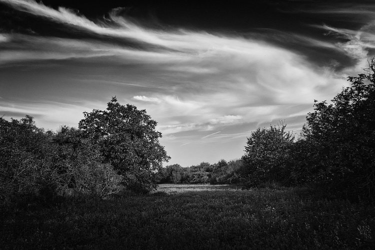 Fantazie nebo realita?