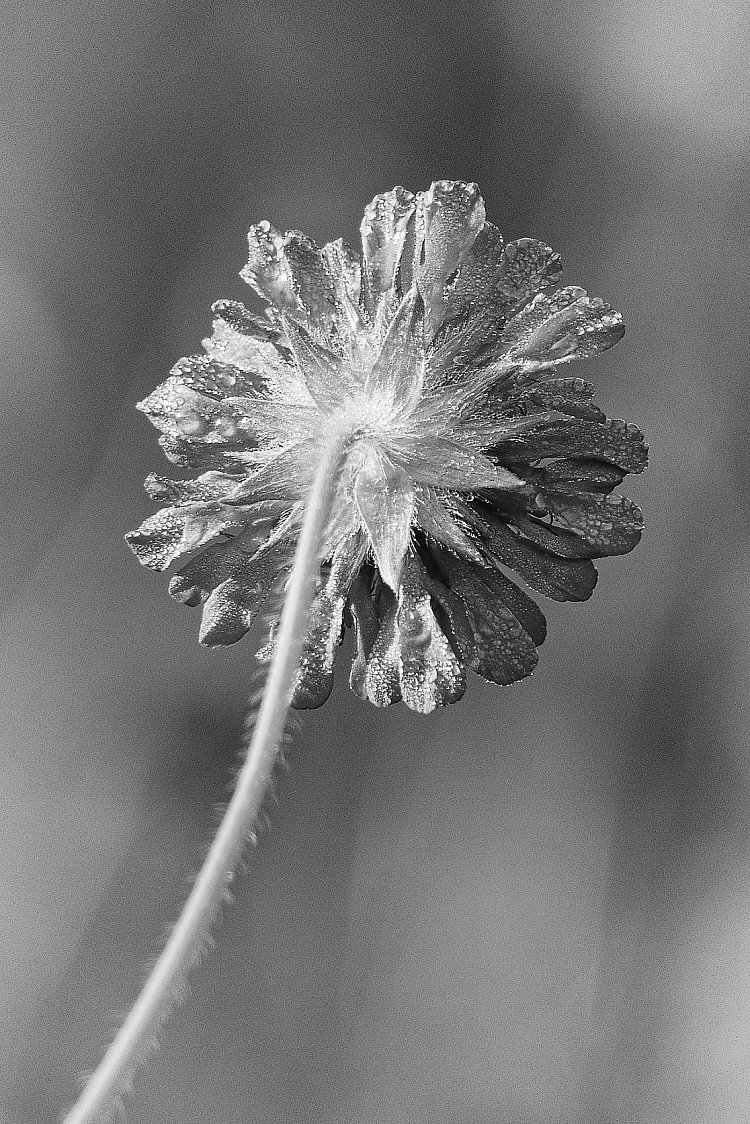 Netoč se ke mně zády