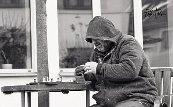 Bez domova 2