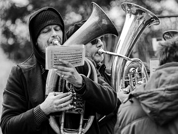 Tubař