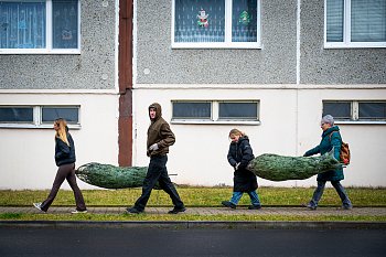 Jeden stromek na vánoce nestačí