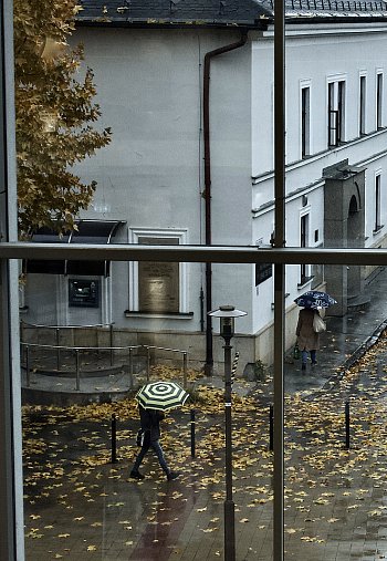 Podzimní pohled z okna