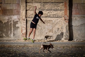 Kluk na skateboardu a pes