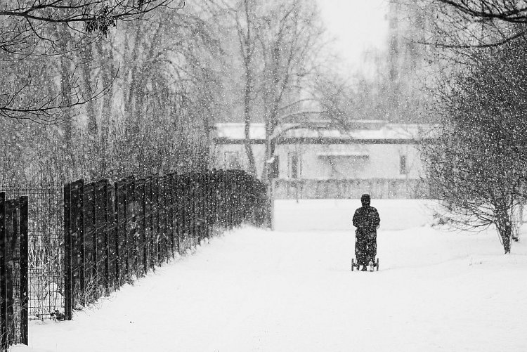 Do ulic, sype se sníh