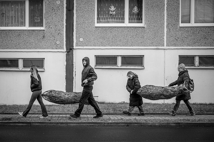 Vánoční stromek do každé rodiny