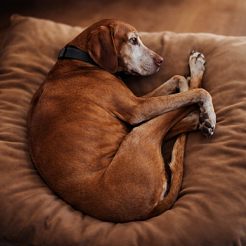 Zasloužený odpočinek