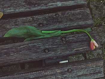 každej nechá jinou stopu na světě