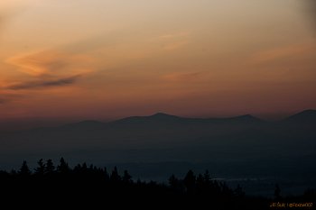 lysá ve zlatě