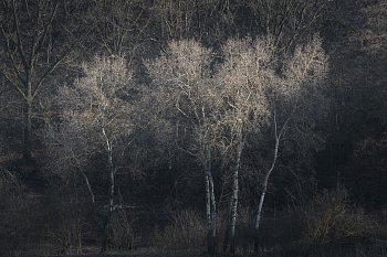 Hranice světla