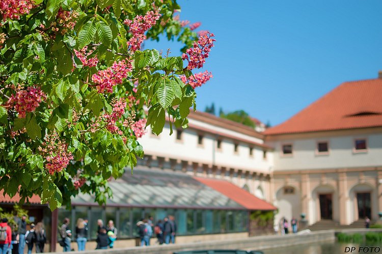 Valdštejnské zahrady